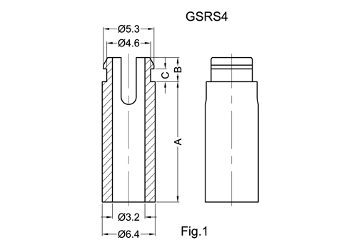 GSRS 2D 503X350.jpg